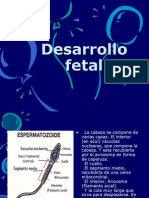 Desarrollo Fetal