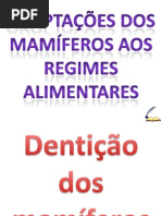Adaptações Ao Regime Alimentar