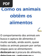 Como Os Animais Obtêm Os Alimentos