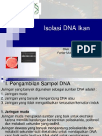 DNA Isolasi