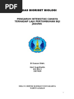 Download Bioriset pengaruh cahaya dan suhu terhadap pertumbuhan biji jagung by Hari Suprihatin SN122533622 doc pdf