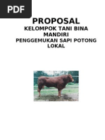 Contoh Proposal Kelompok Tani Sapi