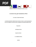 Download thesis of Assessment of  Escherichia coli Contamination of Meat by DrAli Mohamed Ali Iye SN122559849 doc pdf