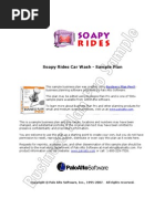 Download Soapy Rides Carwash Business Plan by Palo Alto Software SN122561 doc pdf