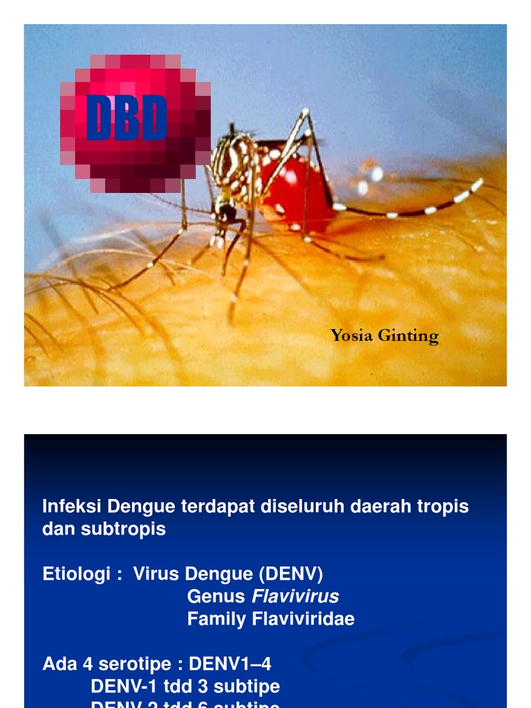 Protokol DBD | PDF | Pengembangan Diri | Kesehatan Holistik