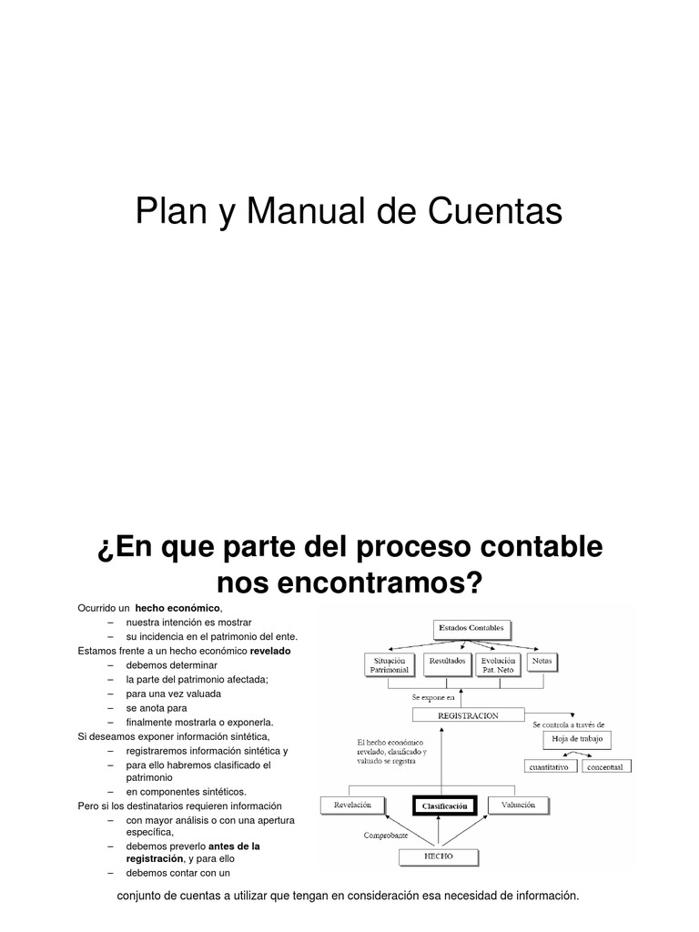 Plan y Manual de Cuentas Contables | PDF