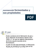 Alimentos Fermentados