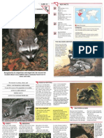 Wildlife Fact File - Mammals - Pgs. 31-40