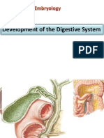 Development of The Digestive System