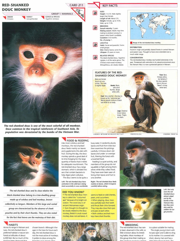 Wildlife Fact File - Mammals - Pgs. 211-220 | PDF | Goat | Rodent