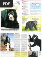 Download Wildlife Fact File - Mammals - Pgs 231-240 by ClearMind84 SN122610579 doc pdf