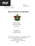 Download Refarat Radiologi BPH Gabi Konsultasi Tgl 12des Sdang Dkrjakan by Yuneriati Mada SN122617458 doc pdf