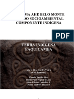 2009 - EIA-RIMA AHE Belo Monte Estudo Socioambiental Componente Indígena