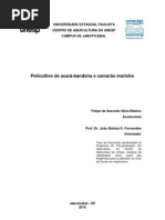 2010 - Policultivo de acara bandeira e camarão marinho