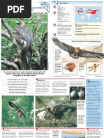 Download Wildlife Fact File - Birds - 1-10 by ClearMind84 SN122627995 doc pdf