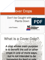 Cover Crops 
