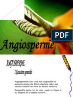 Angiospermele
