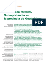 Biomasa Forestal