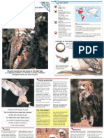 Wildlife Fact File - Birds - Pgs. 111-120