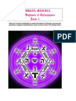35632585 THEURGIA MAGICA Rituels Magiques Et Theurgiques Tome 1