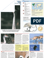 Wildlife Fact File - Birds - Pgs. 261-270