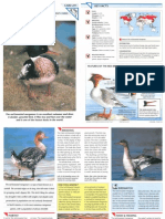 Wildlife Fact File - Birds - Pgs. 271-280