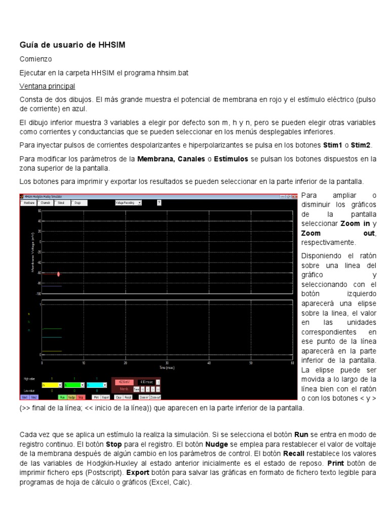 Guía de uso de HHSIM para simulaciones | PDF | Ventana (informática ...