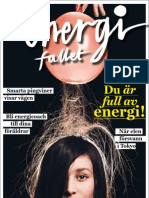 Energifallet