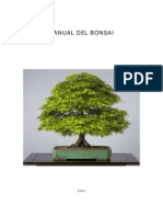 bonsai nhap mon