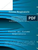 Sistema Respiratorio