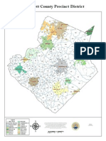 Precinct Districts