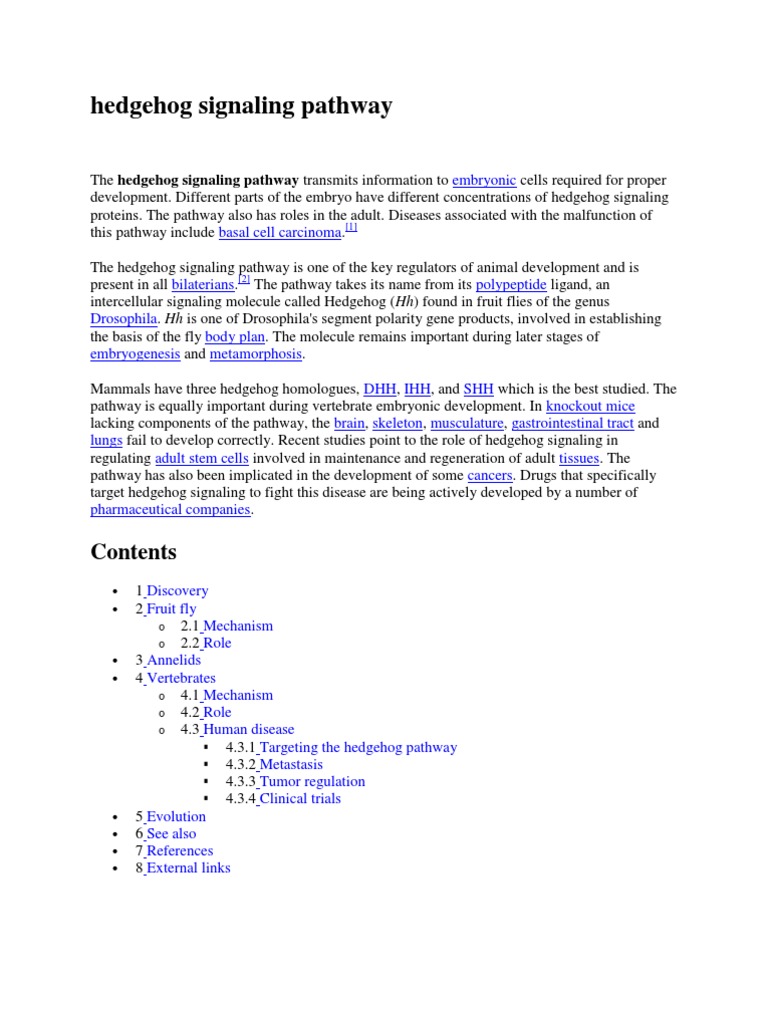 Hedgehog Signaling Pathway Overview | PDF | Biological Processes ...