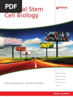 Download General Stem Cell Biology Brochure by Sigma-Aldrich SN12277254 doc pdf