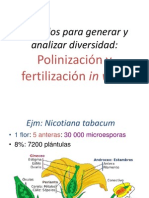 Tema 6 Polinizacion y Fertilizacion in Vitro