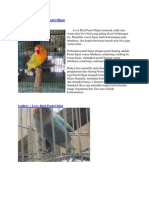 Download warna warna lovebird by Dharul Handri Pranawa SN122786833 doc pdf