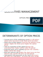 Option Pricing Model