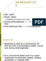 Apo: Apart Ptosis: Fallen During Embriogenesis - Occurs As PCD Post-Embrional Life - As Apoptosis