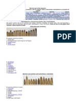 Munición para Armas Pequeñas