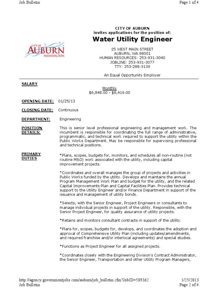 Water Utility Engineer PDF Specification (Technical Standard