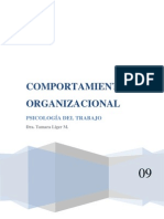 COMPORTAMIENTO+ORGANIZACIONAL+TAREA+N´TICS