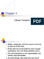 Cellular TRansport