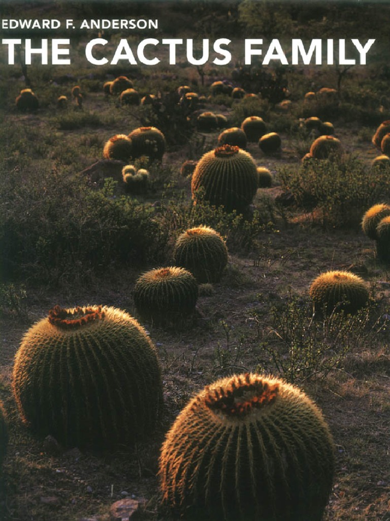 Echinopsis Chamaecereus Hybride Opus Yellow