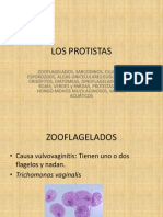 Los Protistas