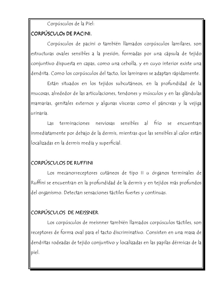 Corpusculos de Pacini | PDF