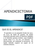 APENDICECTOMIA