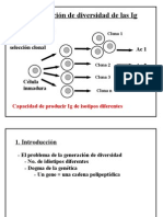 Diversidad 08