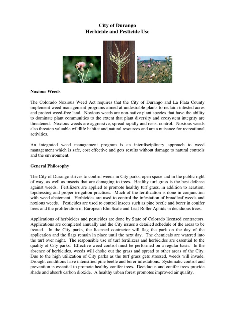 Durango's Noxious Weed Management Guide | PDF | Weed | Herbicide