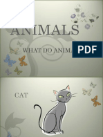 Animals: What Do Animals Eat