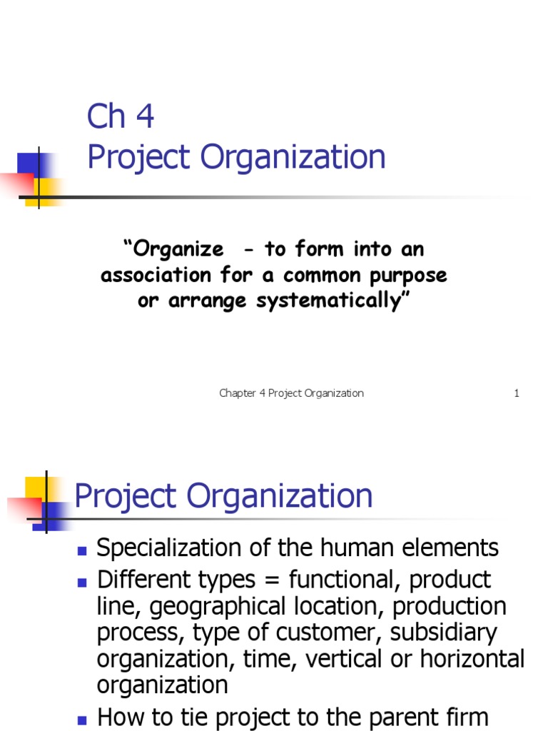 Project Organization Structures Explained | PDF | Outsourcing | Engineering