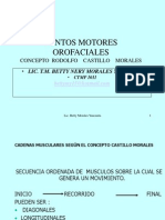 CASTILLO MORALES.pdf